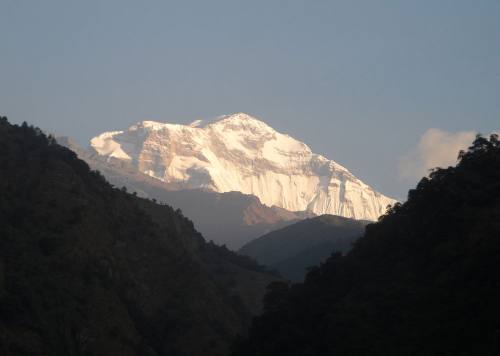 Dhaulagiri Sanctuary Trek