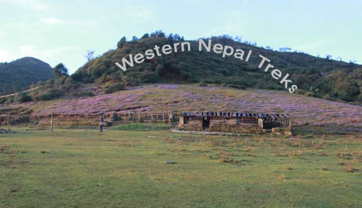 Dhorpatan Jaljala 