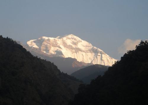 DHAULAGIRI SANCTUARY Trek